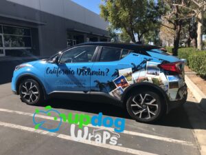 UpDog Wraps - Cars